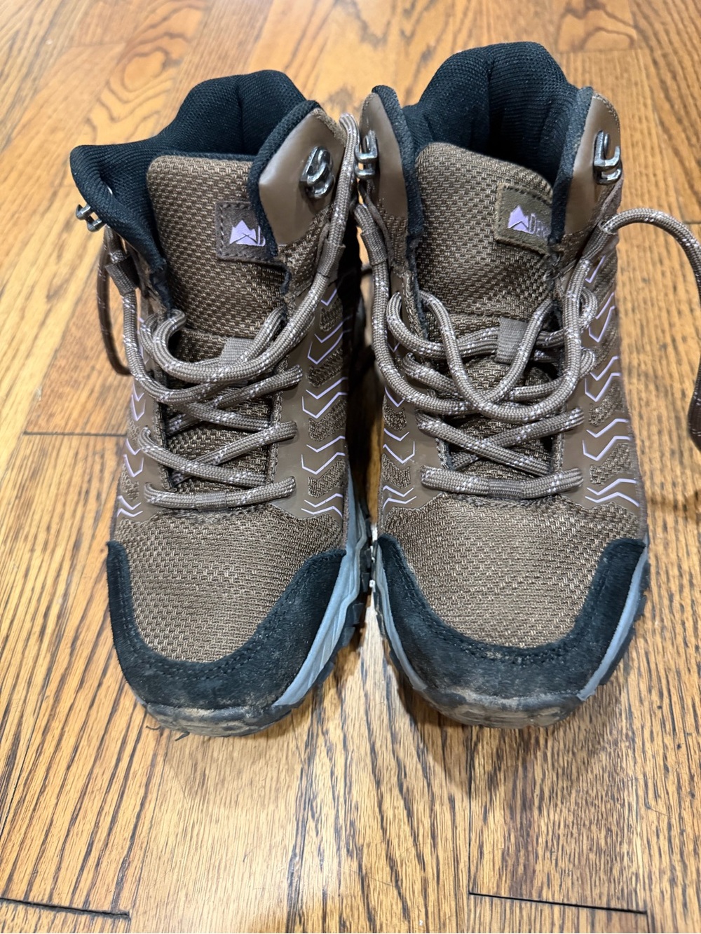 Kids Brown Hiking Boots